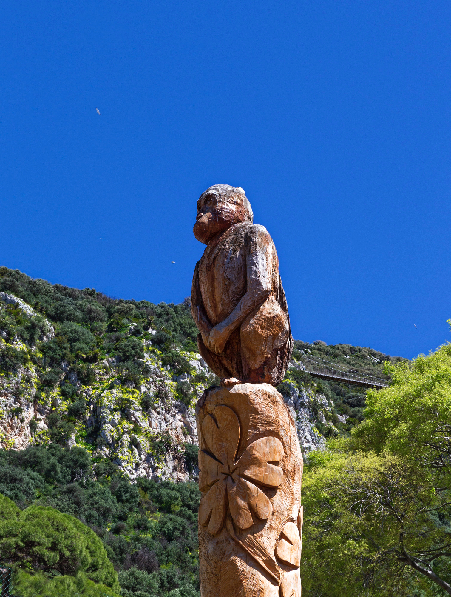 Gibraltar - Le Rocher est aussi réputé pour ses singes chapardeurs